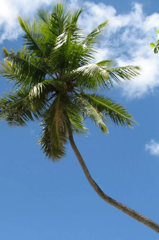 Südseeparadies Cook Islands
